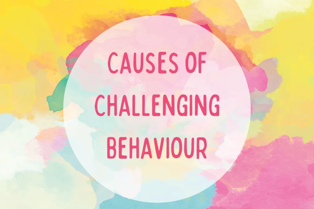 Causes of Challenging Behaviour