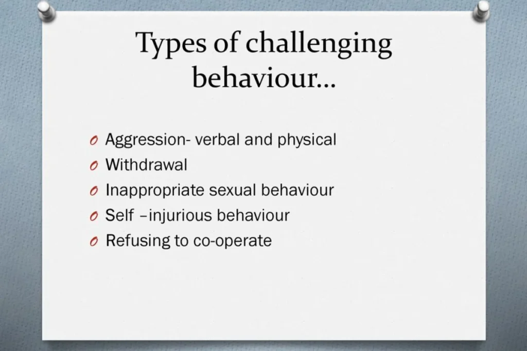 Types of Challenging Behaviour