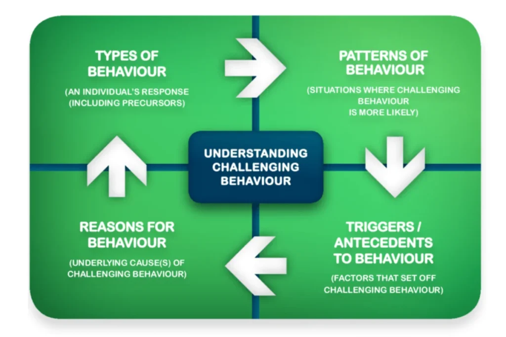 reasons For Challenging Behaviour in Adults